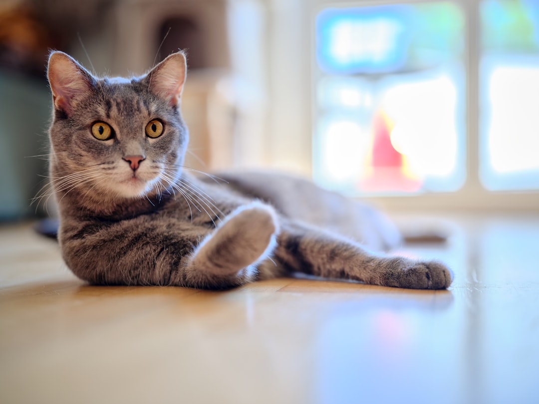 Αρης Γατας Ο Εξερευνητής της Νευροεπιστήμης και της Βιοηθικής