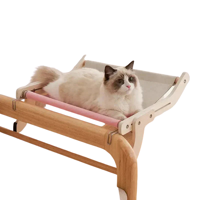 Chat se relaxant dans un lit hamac suspendu et moelleux - une vue parfaite pour votre ami félin Transparent Background