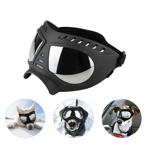 Gros plan : Chien portant des lunettes et un casque, montrant l’ajustement et le confort des lunettes de soleil pour chiens Transparent Background