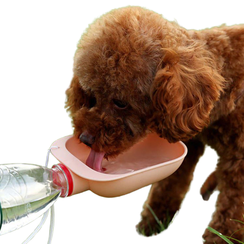 Gamelle d’eau portative pour chien et chat Transparent Background