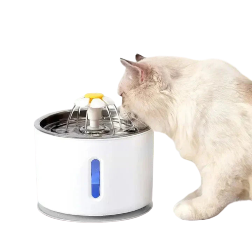 Chat hydraté avec fontaine à eau HydraCat - Fraîcheur et santé pour votre félin Transparent Background