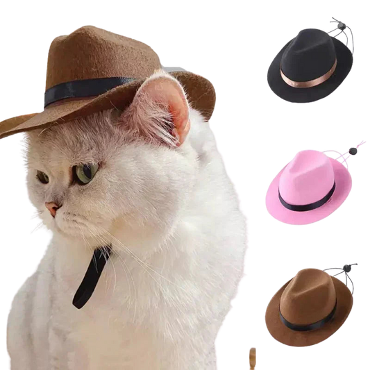 Chat portant un chapeau de cow-boy et une cravate, mettant en valeur le chapeau Fun Cowboy Hat for Animals Transparent Background