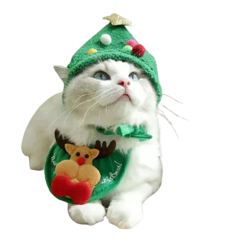 Chapeau et écharpe de Noël pour chat - Accessoires de fête parfaits pour votre chaton du Père Noël Transparent Background