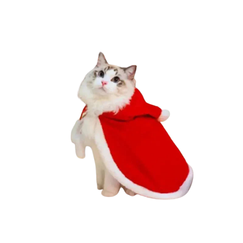 Costume de chat festif - Adorable chat coiffé d’un bonnet de Père Noël célébrant Noël au pied du sapin Transparent Background