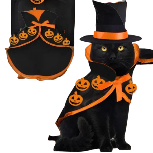 Adorable chat en costume de sorcière près de la cheminée - Parfait pour Halloween - Costume effrayant pour chats Transparent Background