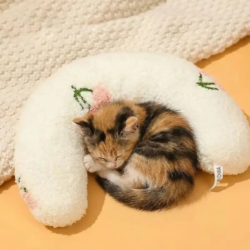 Mondkissen™ für Katzen | Unübertroffener Komfort