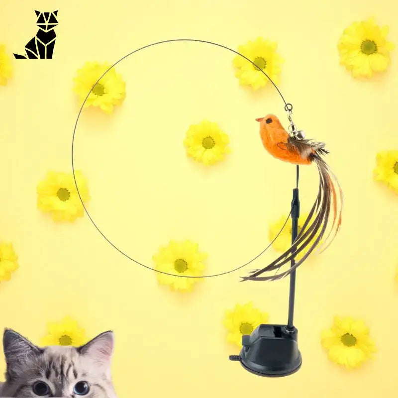 Birdfamily™: Jouet Pour Chat Avec Ventouse Puissante Pour Assouvir Sa Chasse! - Orange