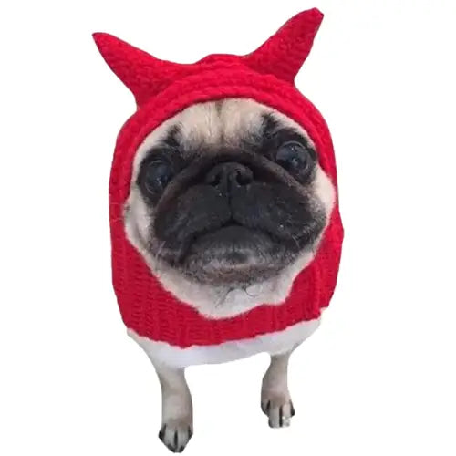 Bonnet pour Chien Diable au Crochet Transparent Background