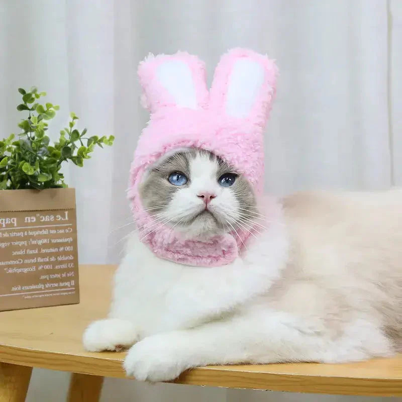 Chat coiffé d’un chapeau de fête avec des oreilles sur la table - Bonnet aux Oreilles