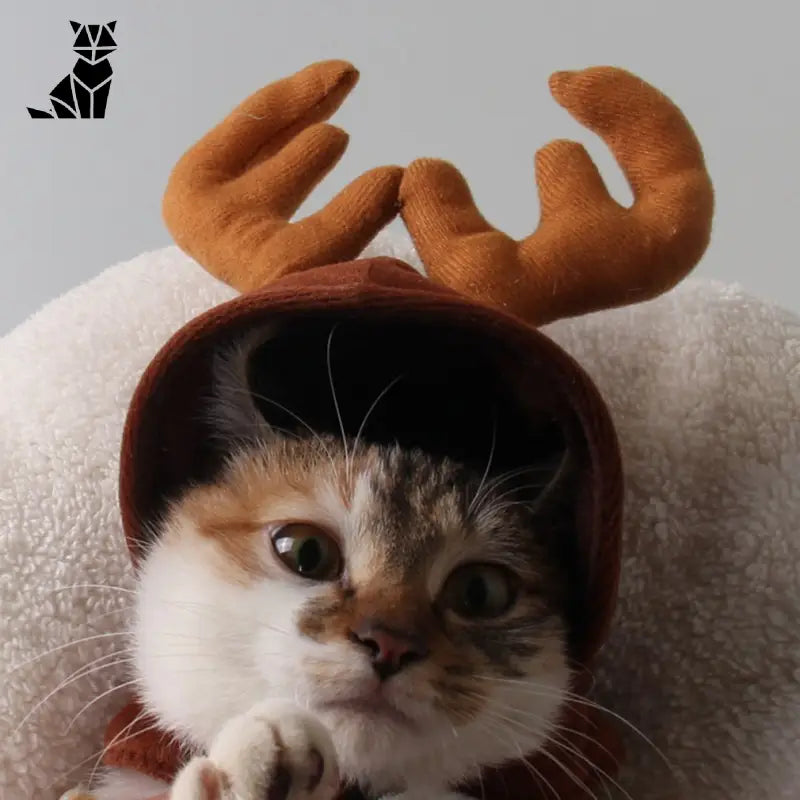 Bonnet pour Chat Renne de Noël