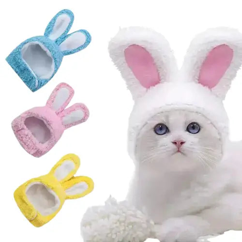 Chat blanc portant un chapeau de lapin et des pantoufles ; douceur et bonnet d’inspiration lapin Transparent Background