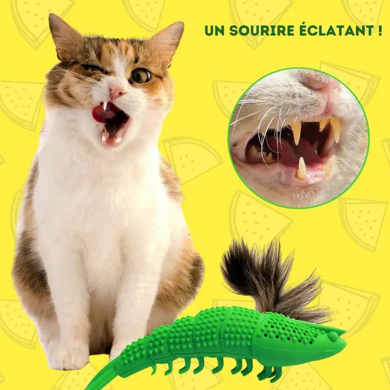 Brosse à dents pour chat | Denticat™