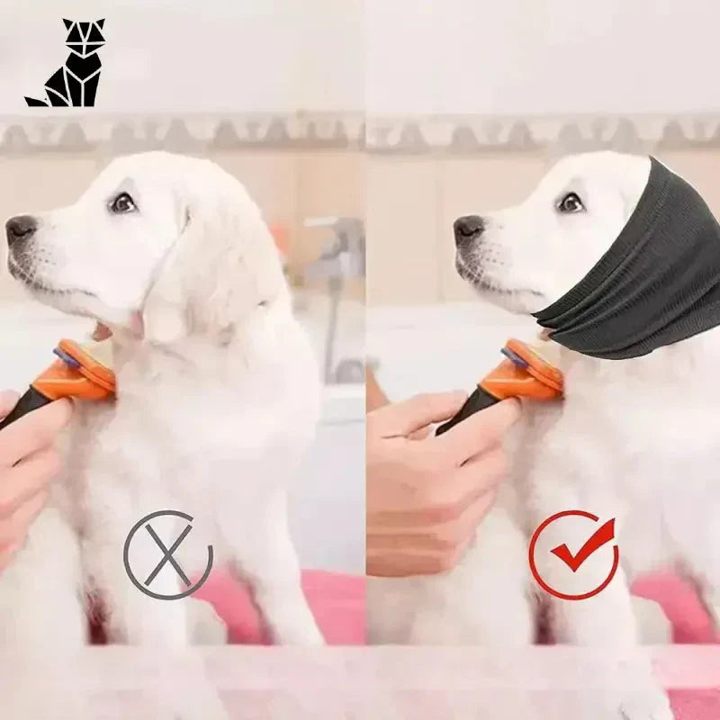 Casques antibruit pour Cocker Spaniel : Chien à oreilles longues en cours de toilettage pour environnements bruyants