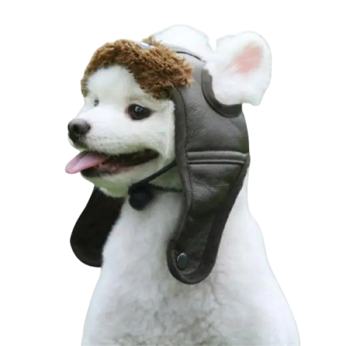 Bonnet pour Chien Aviateur Tour du Monde Transparent Background