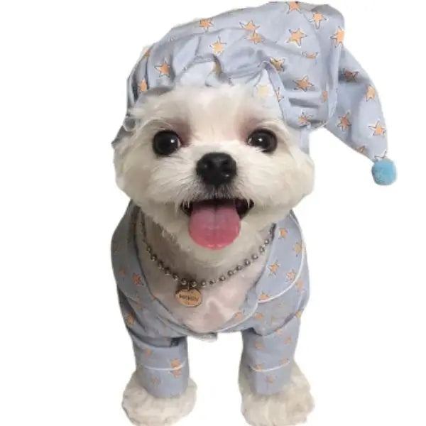 Chapeau pour Chien & Pyjama de Nuit