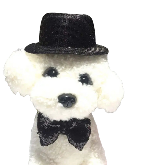 Chapeau pour Chien Noir Cérémonial Transparent Background