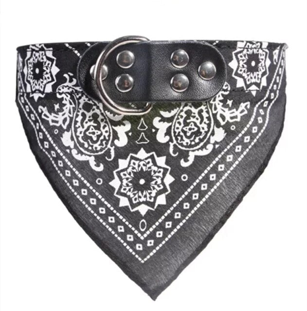 Collier bandana pour chien et chat