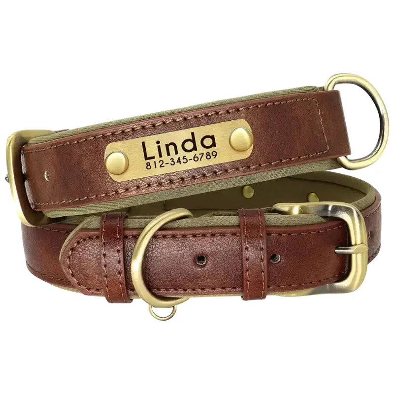 Anpassbares Leder Hundehalsband mit gravierten Namensschild zum