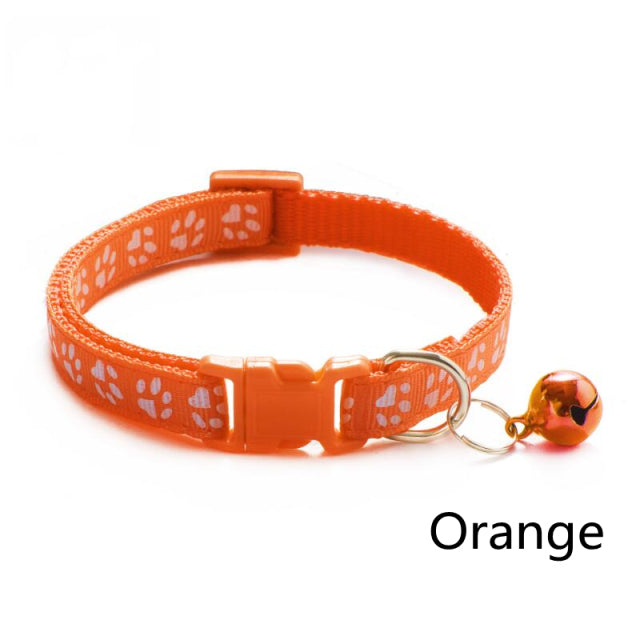 Collier coloré pour chat