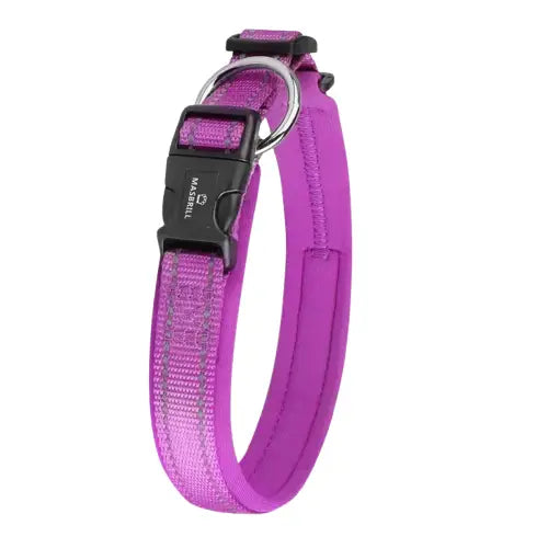 Collier pour Berger Australien Transparent Background