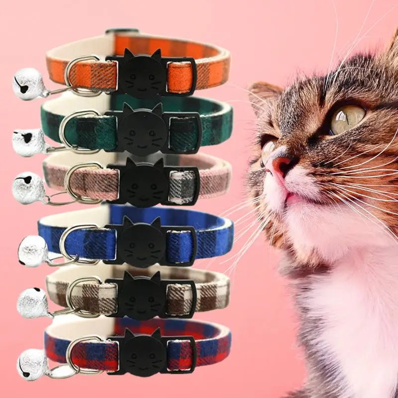 Collier pour chat | ChatChic™