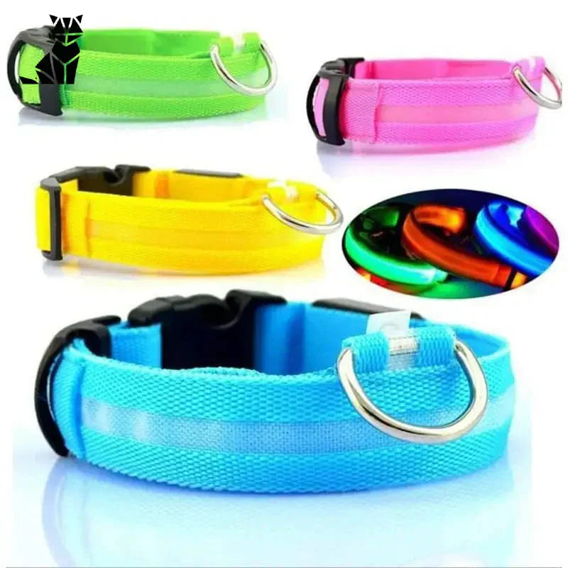 Collier lumineux pour chien avec anneau en métal - collier lumineux