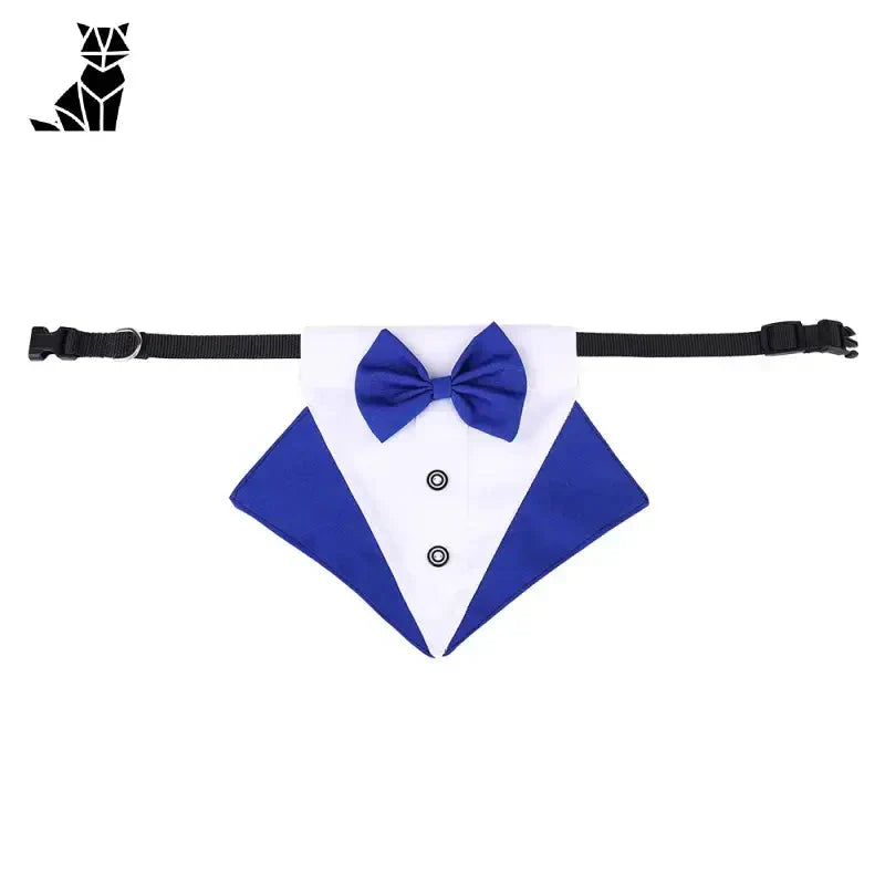 Chic nœud papillon collier pour chiens : Nœud papillon bleu et blanc avec nœud papillon noir