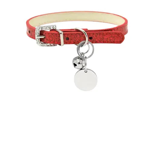 Collier pour chien personnalisé avec breloque argentée par Animal Lovers - Parfait pour votre animal de compagnie ! Transparent Background