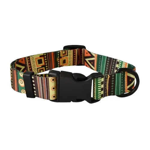 Collier pour Golden retriever Transparent Background