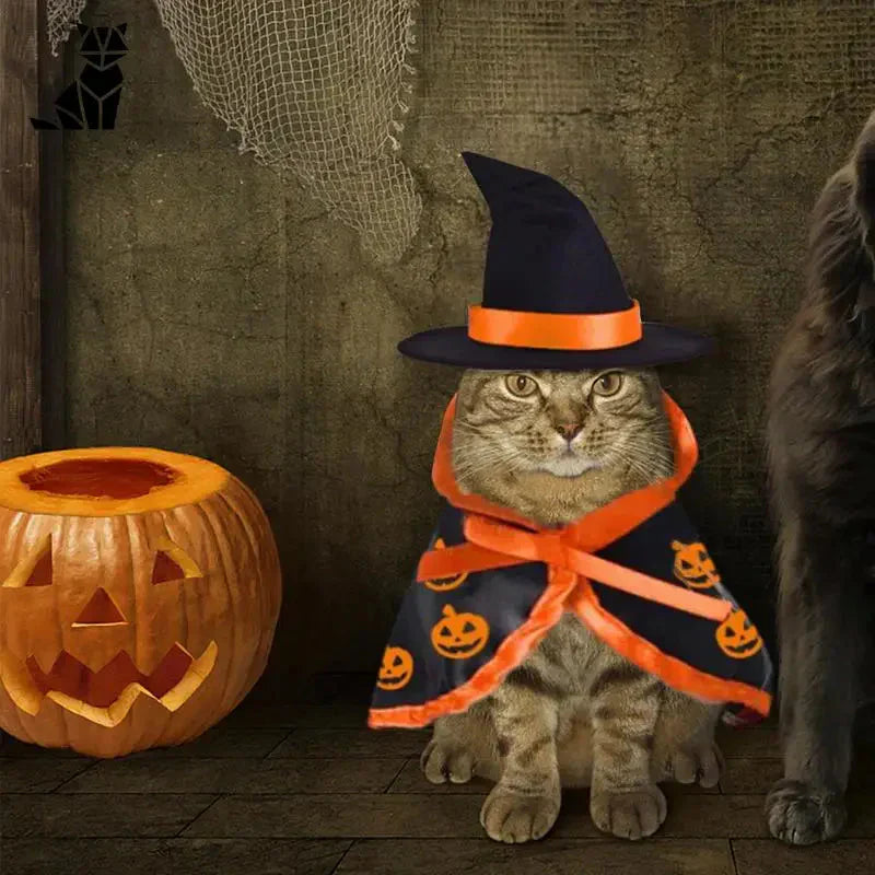 Aux animaux : Chat en chapeau de sorcière et chien en costume de sorcière - Lapins Scary Costume for Pet