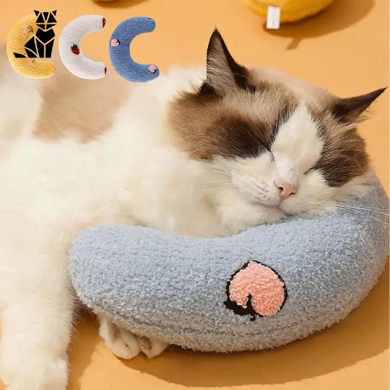 Lot de coussins pour chat | CoussinLune™