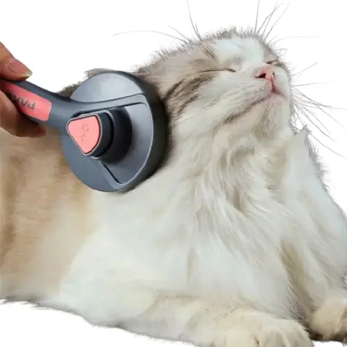 Brosse pour chat | CatBrush™ Transparent Background
