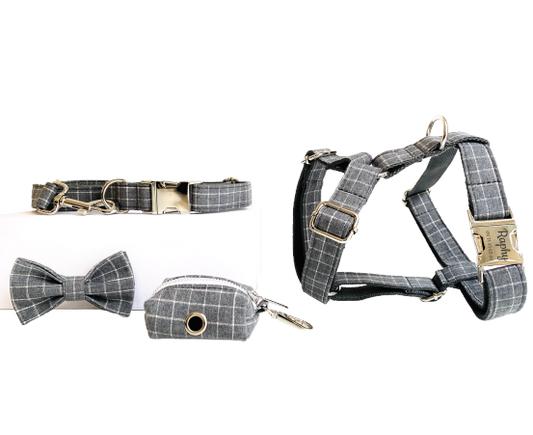 Kit Complet Chien Personnalisé Coton Carreaux Gris Transparent Background