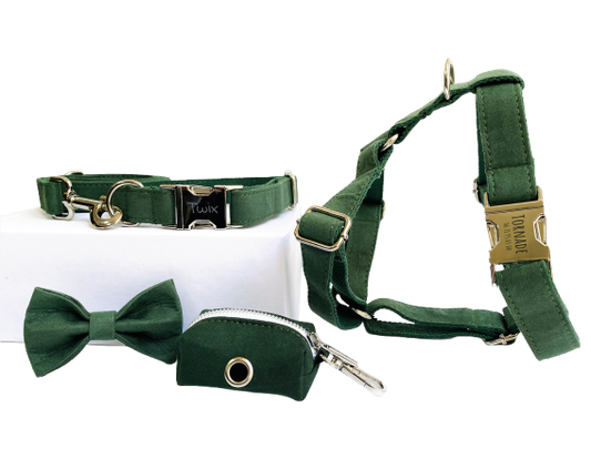 Kit Complet Chien Personnalisé Coton Vert Sapin Transparent Background