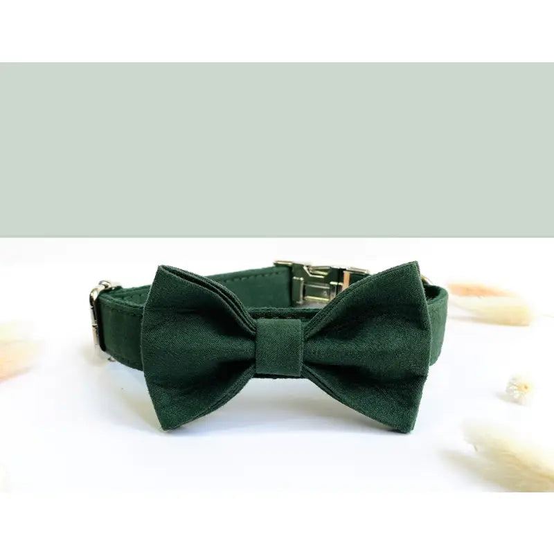 Kit Complet Chien Personnalisé Coton Vert Sapin