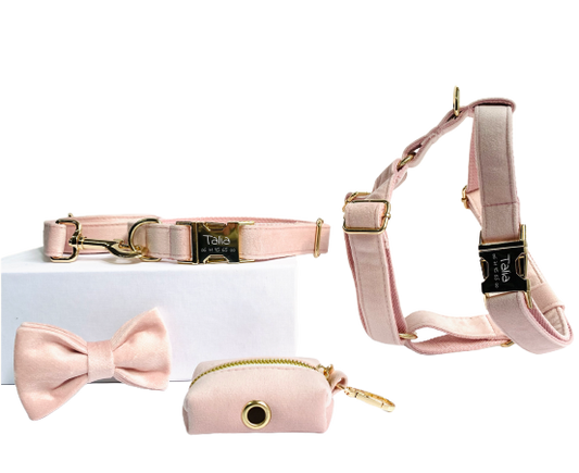 Kit Complet Chien Personnalisé Velours Rose Transparent Background