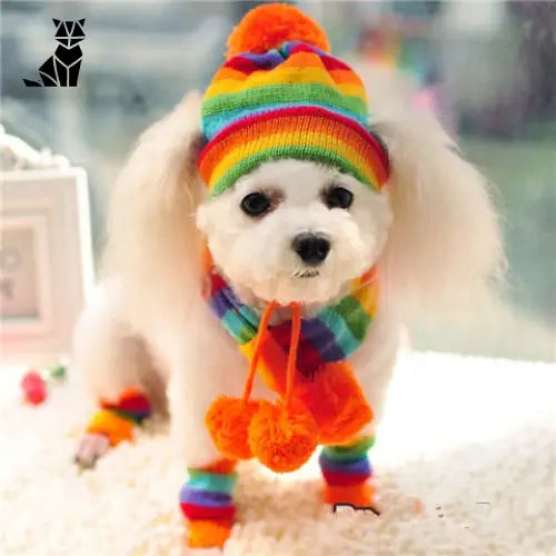 Bob pour Chien d’Hiver (chapeau + écharpe + chaussettes)