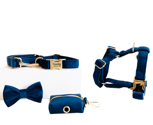 Kit Complet Chien Personnalisé Velours Bleu Marine Transparent Background
