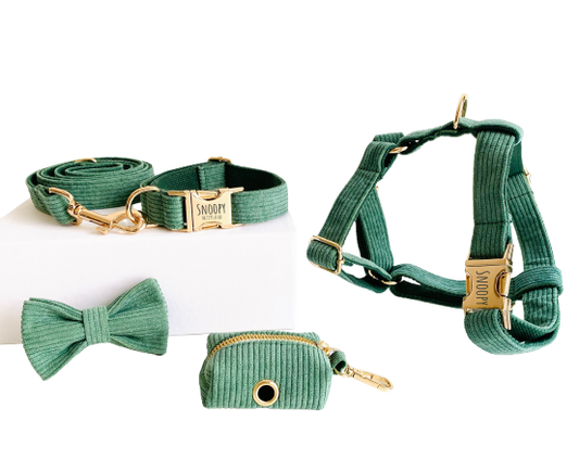 Kit Complet Chien Personnalisé Velours Côtelé Vert Transparent Background