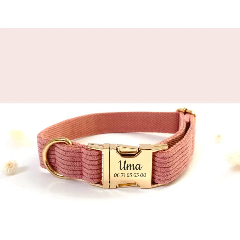 Kit Complet Chien Personnalisé Velours Côtelé Corail
