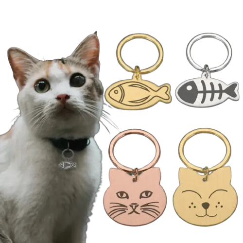 Chat portant une médaille d’identité en acier inoxydable avec une étiquette d’identification en forme de visage de chat Transparent Background