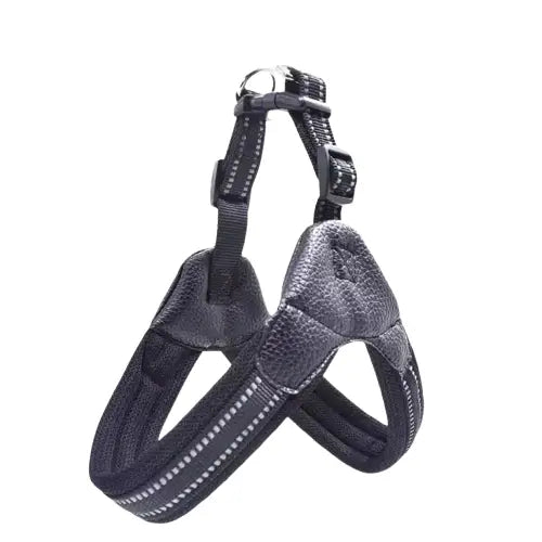 Harnais pour Border Collie Transparent Background