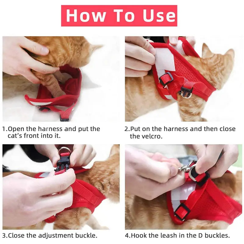 Harnais pour promenade chien et chat