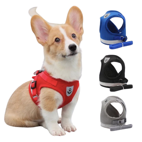 Harnais motif pattes de chien Transparent Background