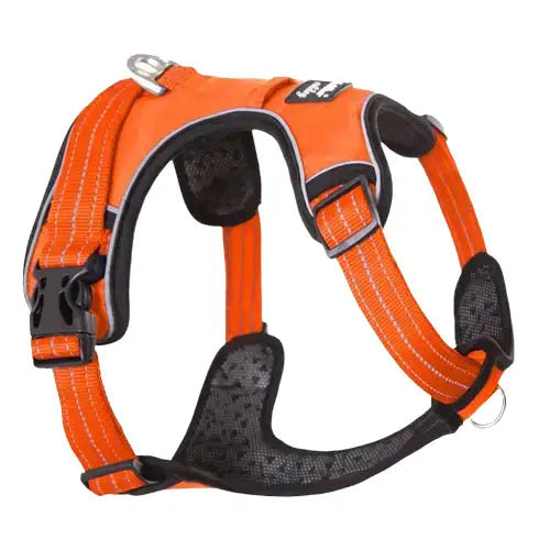 Harnais pour Galgo Transparent Background
