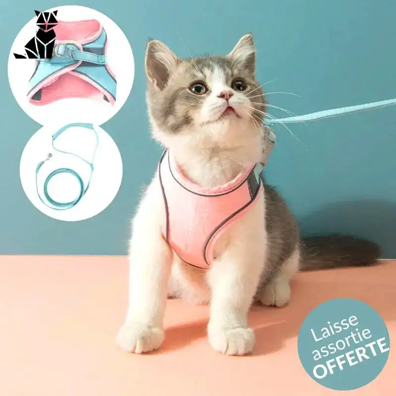 Harnesscat™ + Laisse Offerte: Sécurité Et Style Pour Votre Félin - Rose Et Bleu / s (chaton)