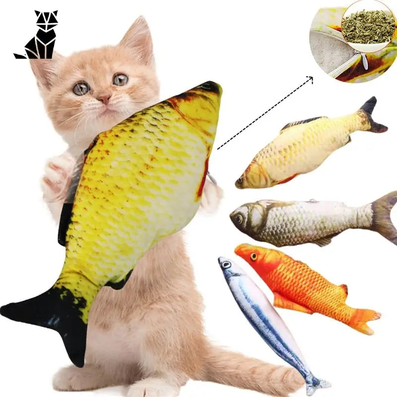 Chat jouant avec un poisson Jouet pour chats : Jouet Poisson interactif stimulant - Jouet en peluche doux