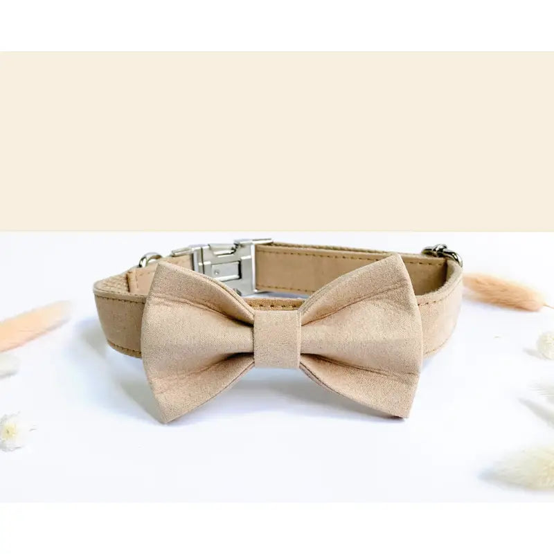 Kit Complet Chien Personnalisé Coton Beige