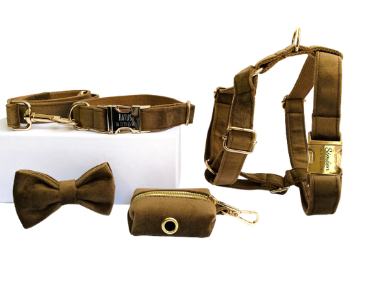 Kit Complet Chien Personnalisé Velours Lisse Marron Transparent Background