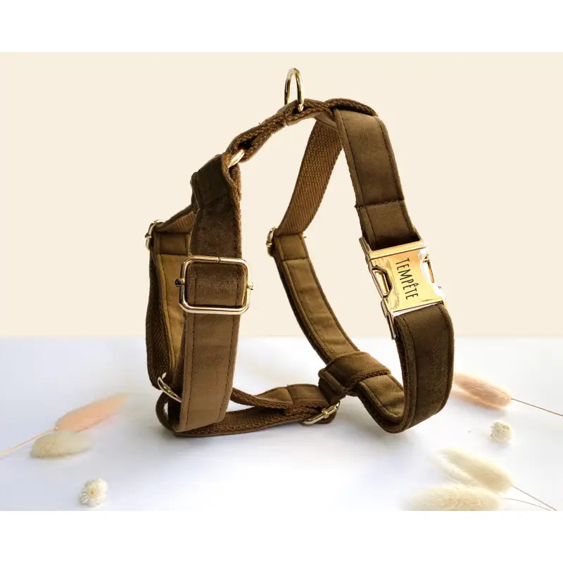 Kit Complet Chien Personnalisé Velours Lisse Marron